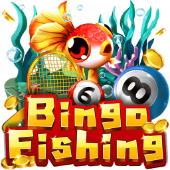 Câu Cá Bingo kjcc